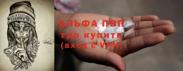 дживик Баксан