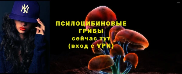 спайс Балабаново