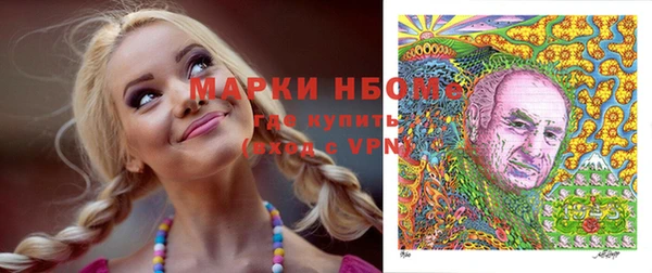 твердый Балахна