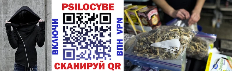 Галлюциногенные грибы Psilocybe  купить наркотики сайты  Раменское 